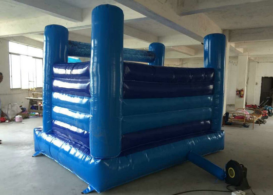 Entrega rápida azul da resistência de rasgo da cor do castelo Bouncy inflável temático de Elsa