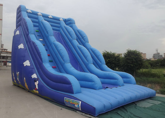 Castelo Bouncy inflável com os personagens de banda desenhada azuis da cor da corrediça impressos
