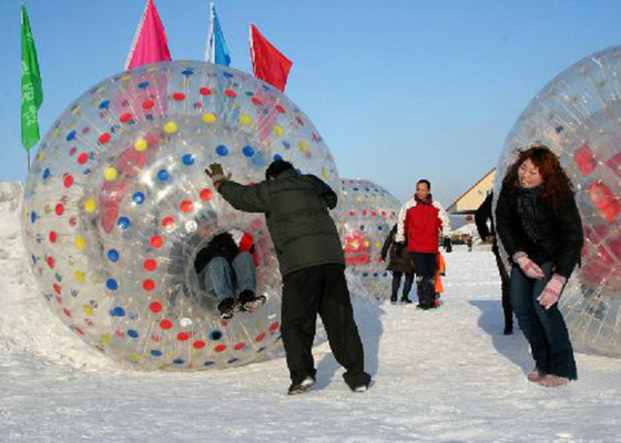 fogo exterior inflável dos brinquedos do diâmetro de 2.2m 3.0m - bola grande retardadora do hamster