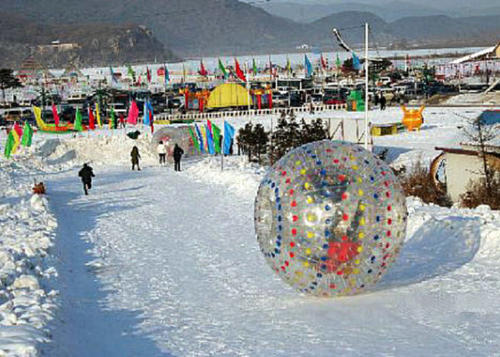 fogo exterior inflável dos brinquedos do diâmetro de 2.2m 3.0m - bola grande retardadora do hamster