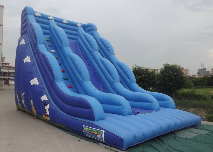 Castelo Bouncy inflável com os personagens de banda desenhada azuis da cor da corrediça impressos